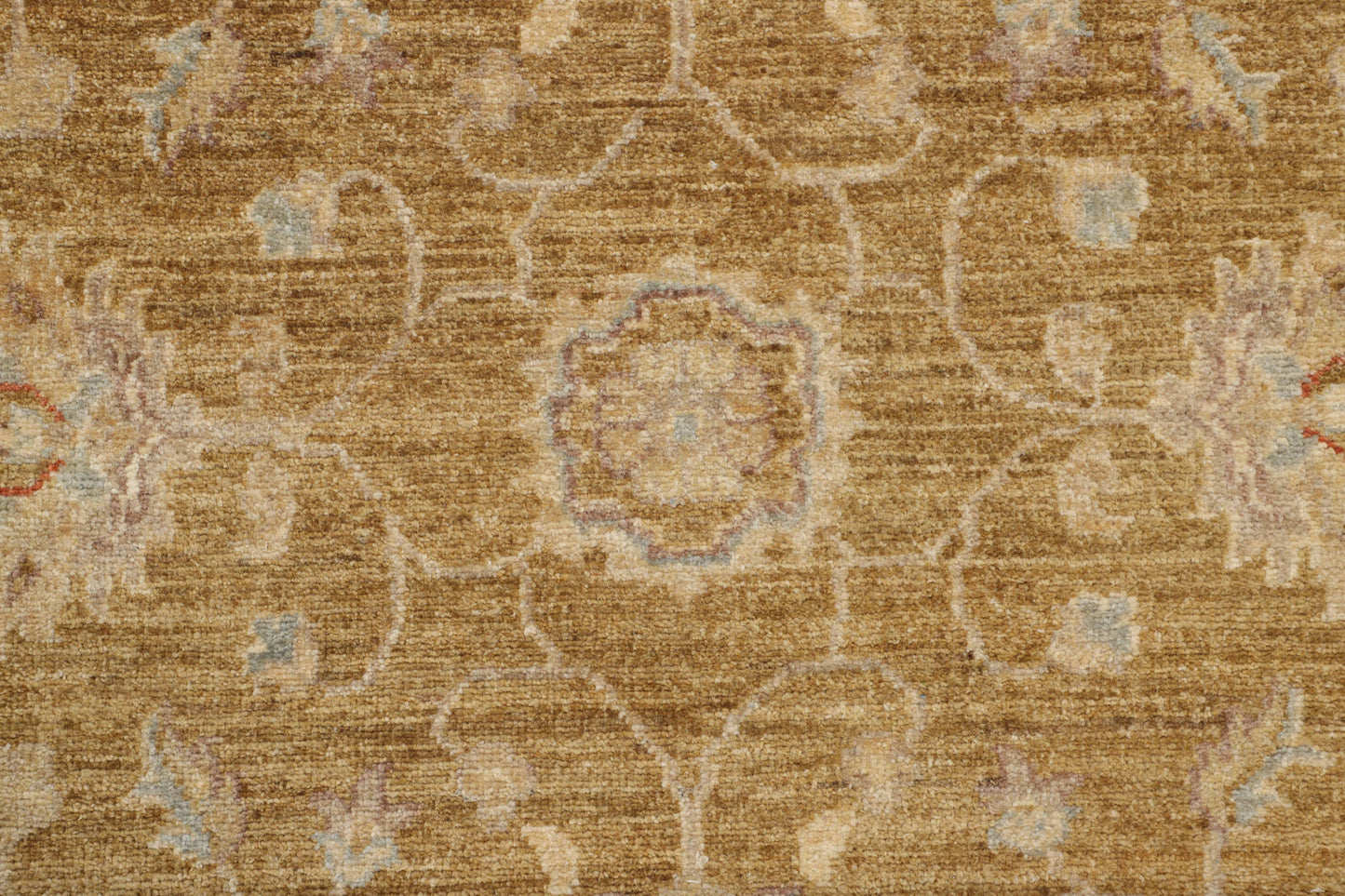 TRANSITIONAL-D46289