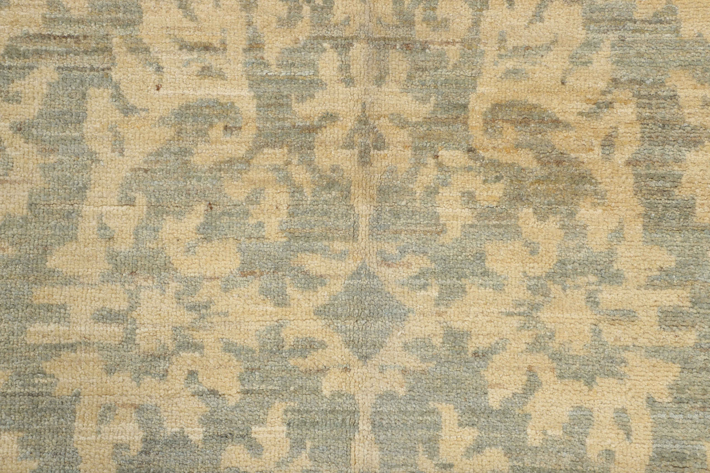 TRANSITIONAL-D57309