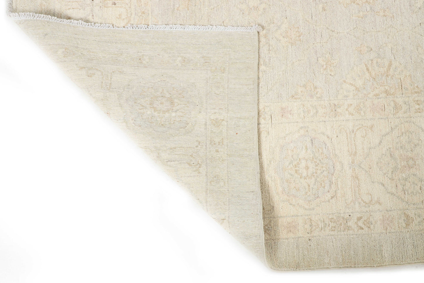 TRANSITIONAL-D56146