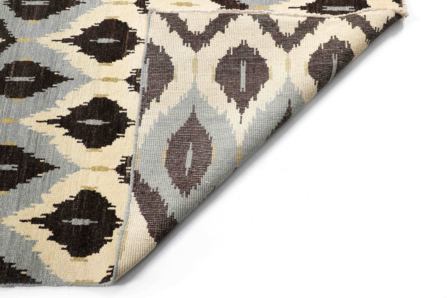 TRANSITIONAL-D41351