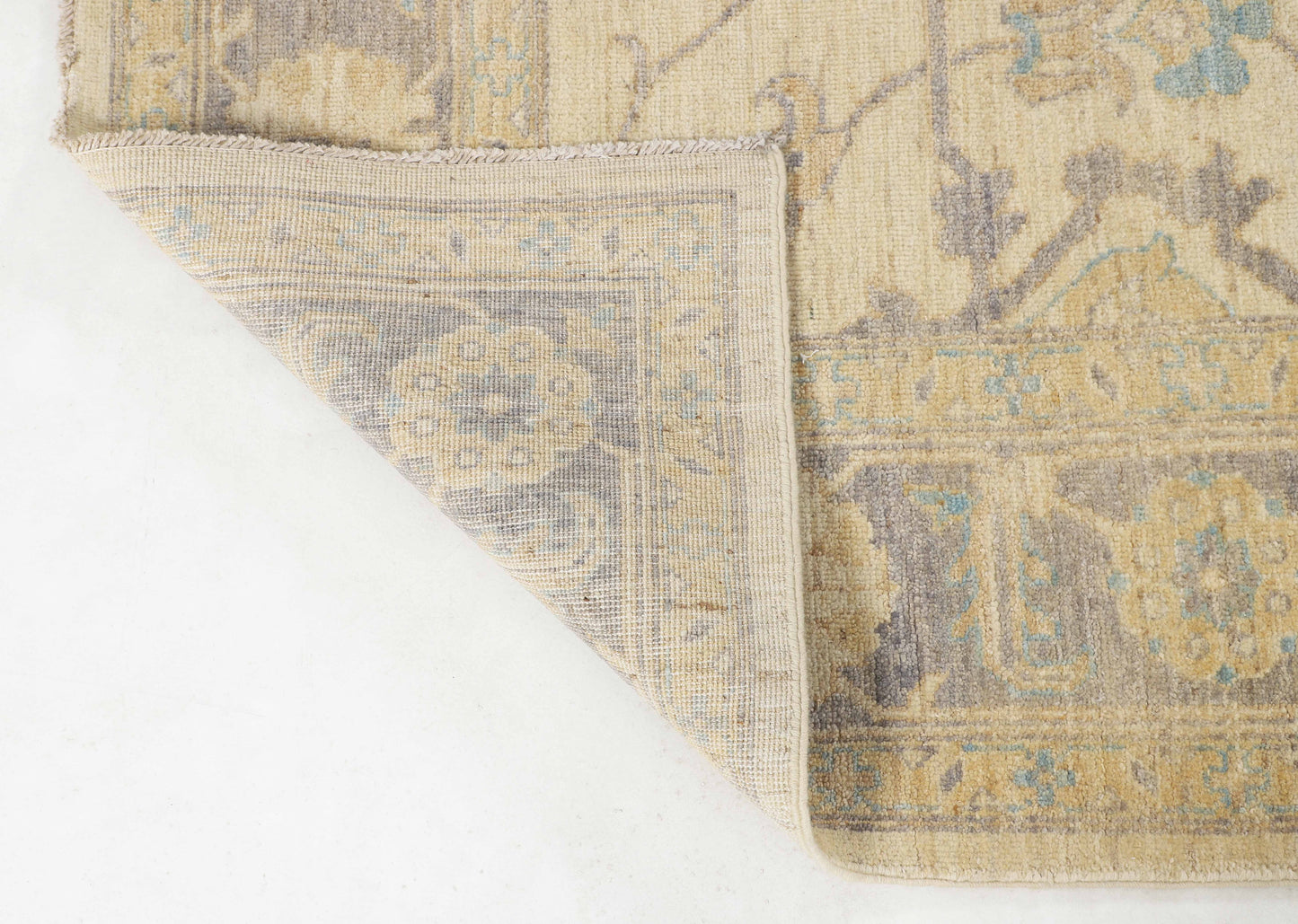 TRANSITIONAL-D53677