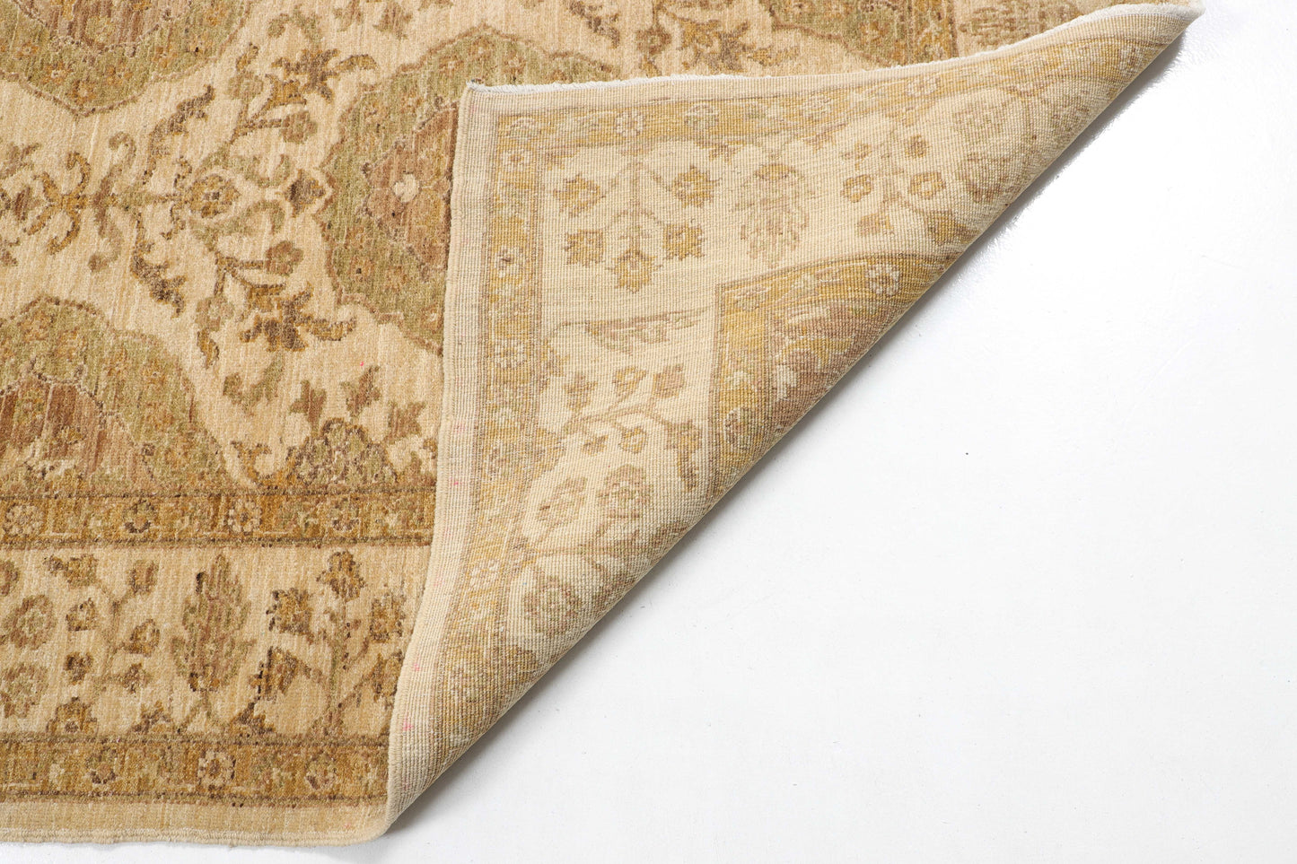TRANSITIONAL-D41126