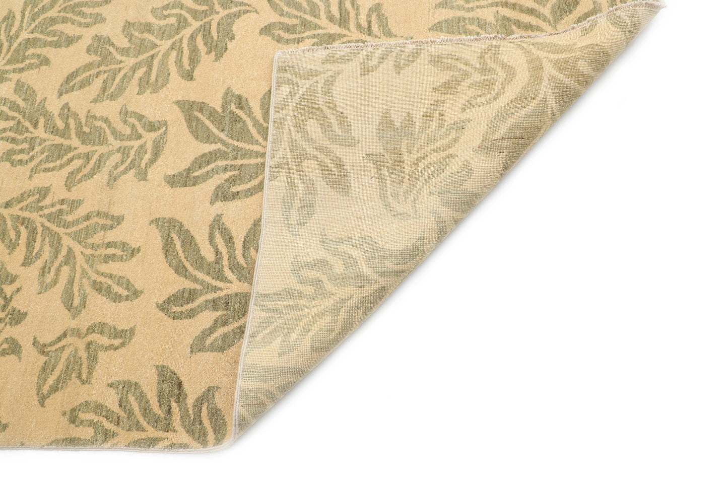 TRANSITIONAL-D38967