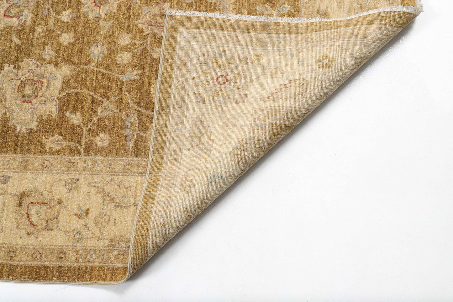 TRANSITIONAL-D46289
