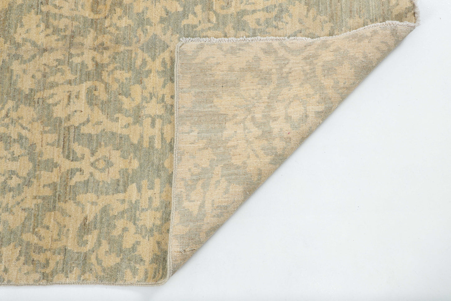 TRANSITIONAL-D57309
