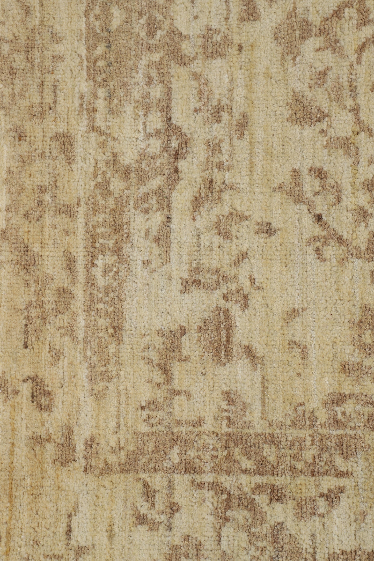 TRANSITIONAL-D57073