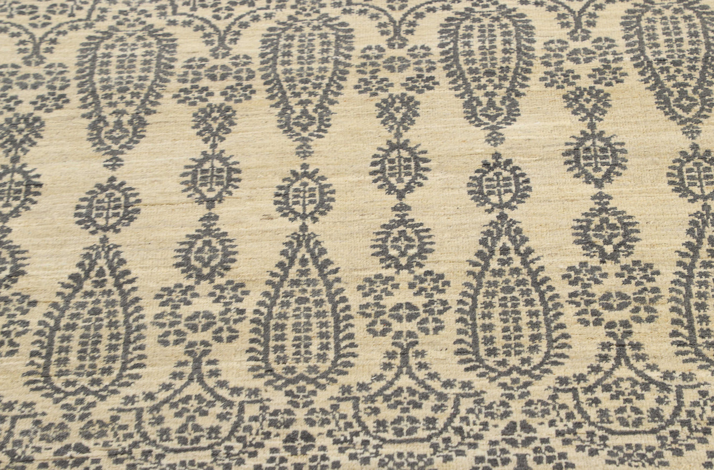 TRANSITIONAL-D55042