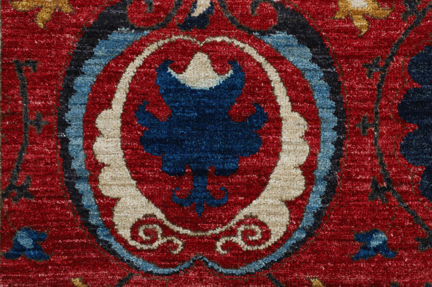 TRANSITIONAL-D56798