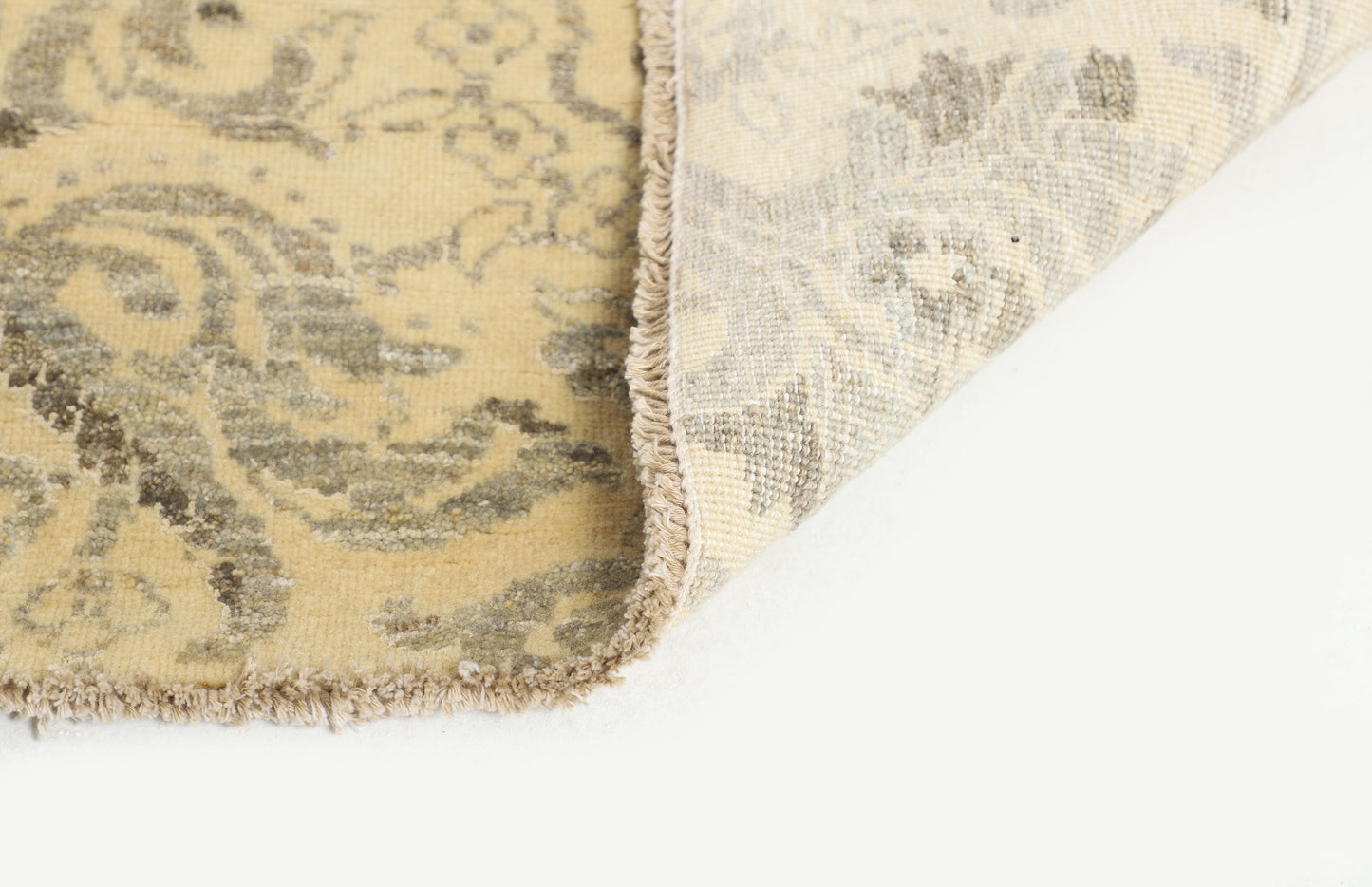 TRANSITIONAL-D52540