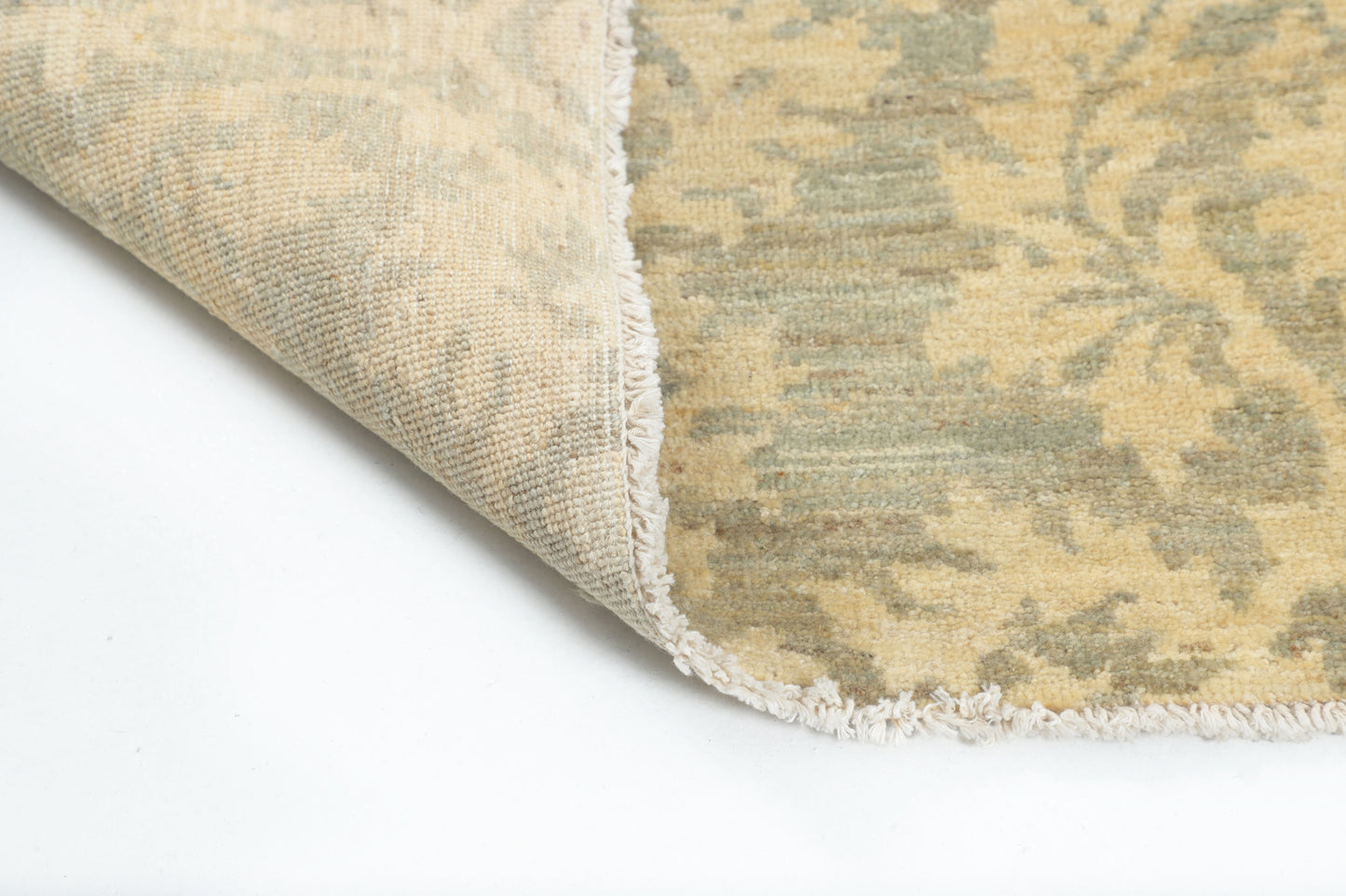 TRANSITIONAL-D57309