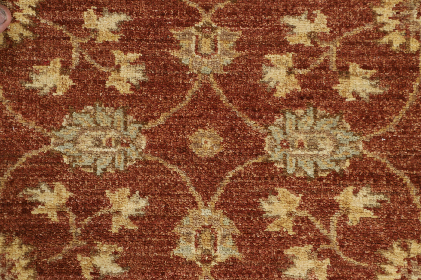 TRANSITIONAL-D48408