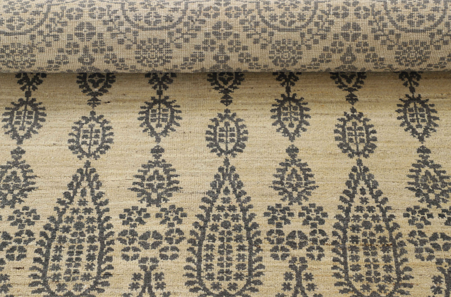 TRANSITIONAL-D55042