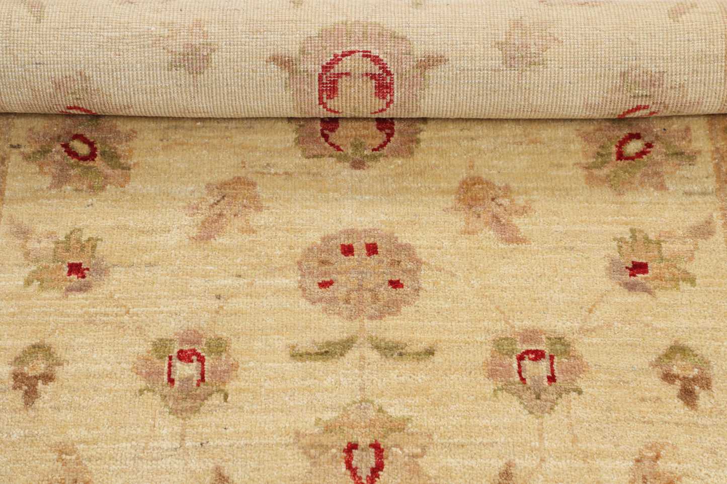 TRANSITIONAL-D43596