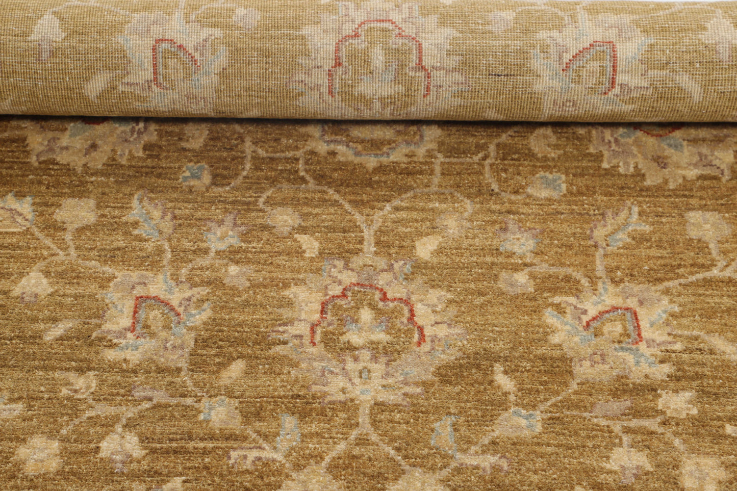 TRANSITIONAL-D46289