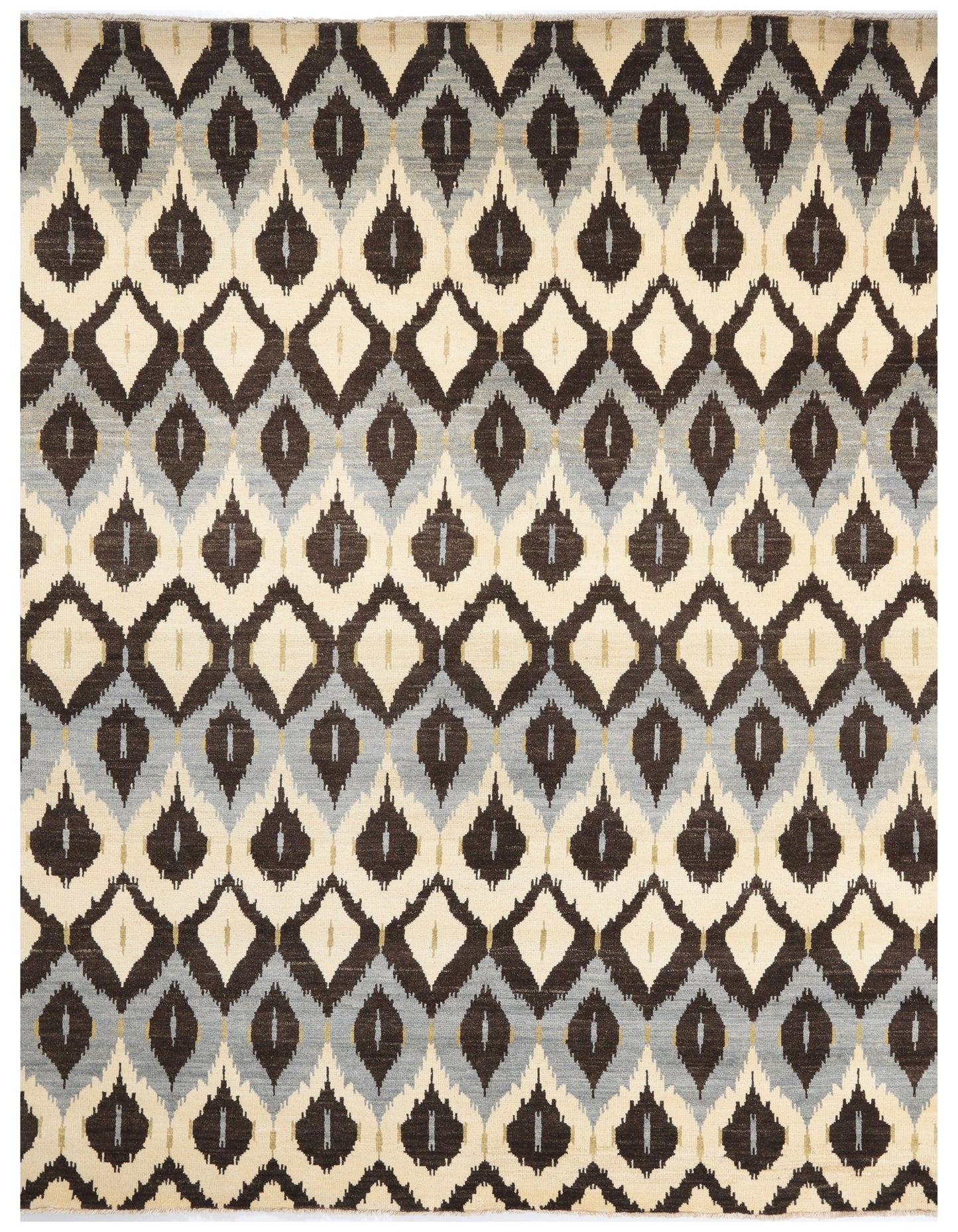 TRANSITIONAL-D41351