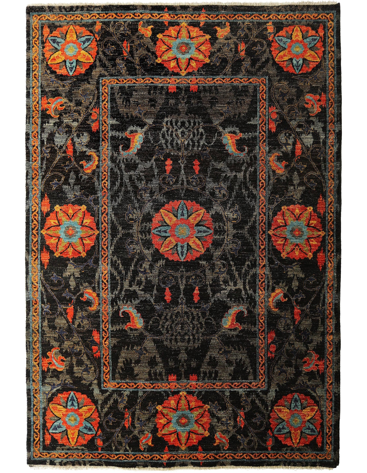 TRANSITIONAL-D56797