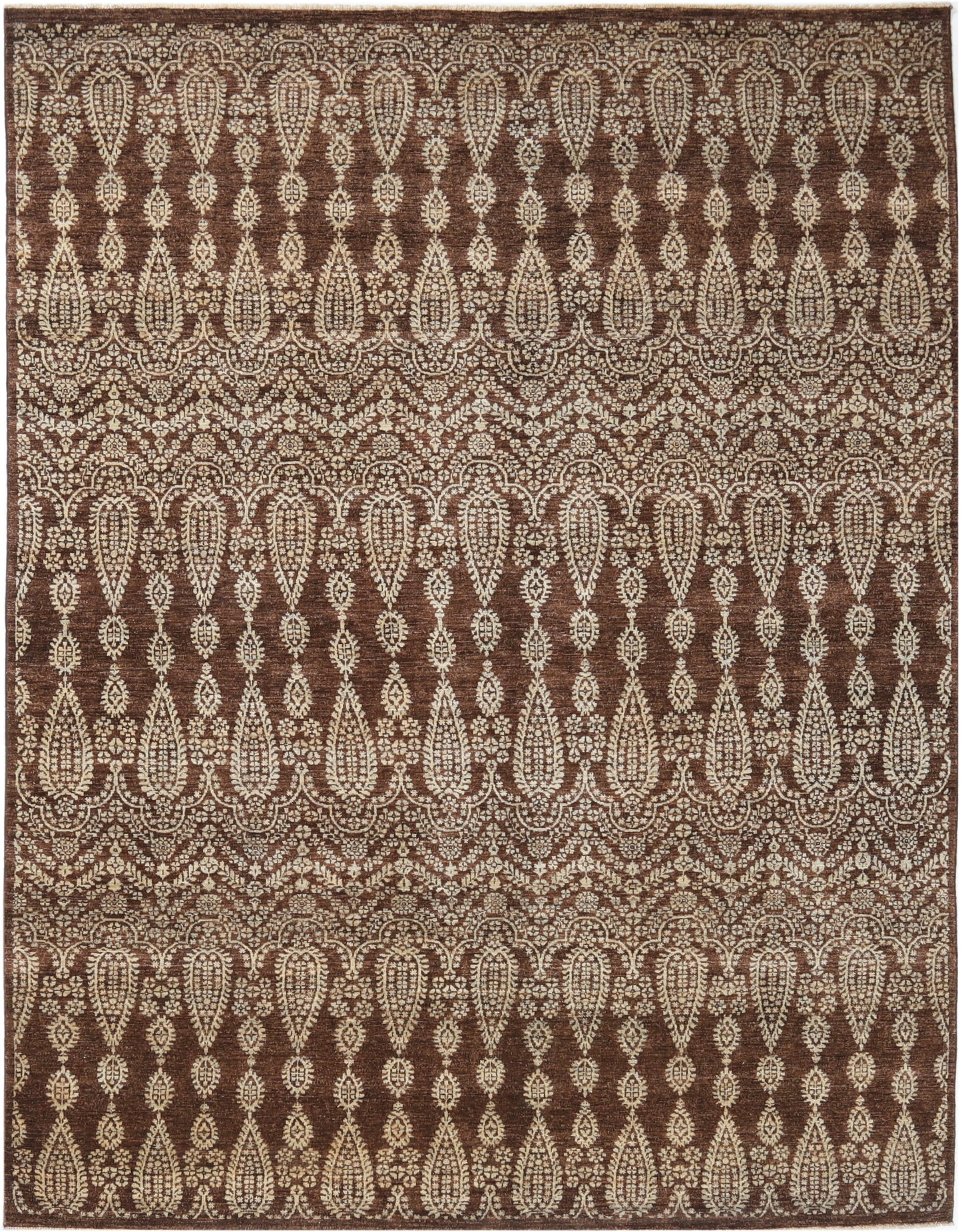 TRANSITIONAL-D48663