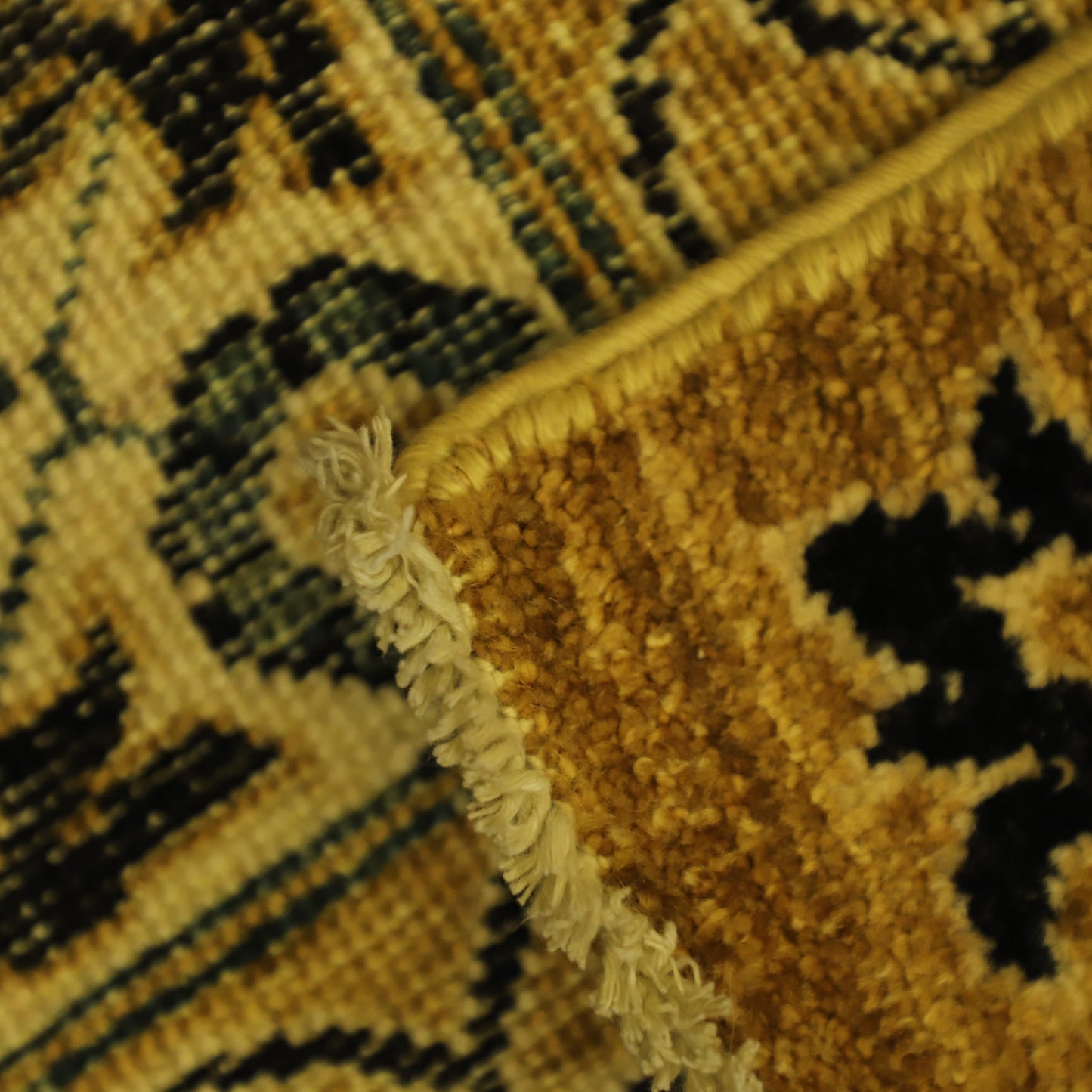 TRANSITIONAL-D55538