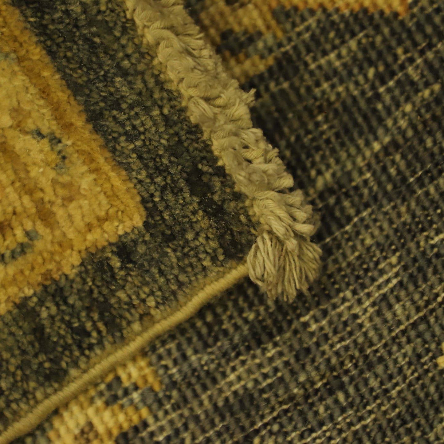 TRANSITIONAL-D57376