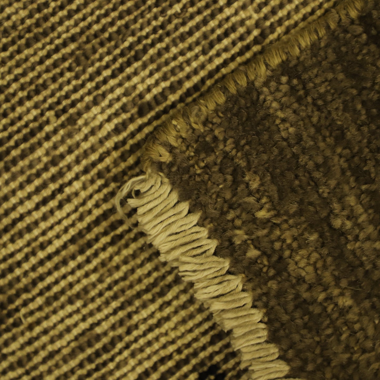 TRANSITIONAL-D57066