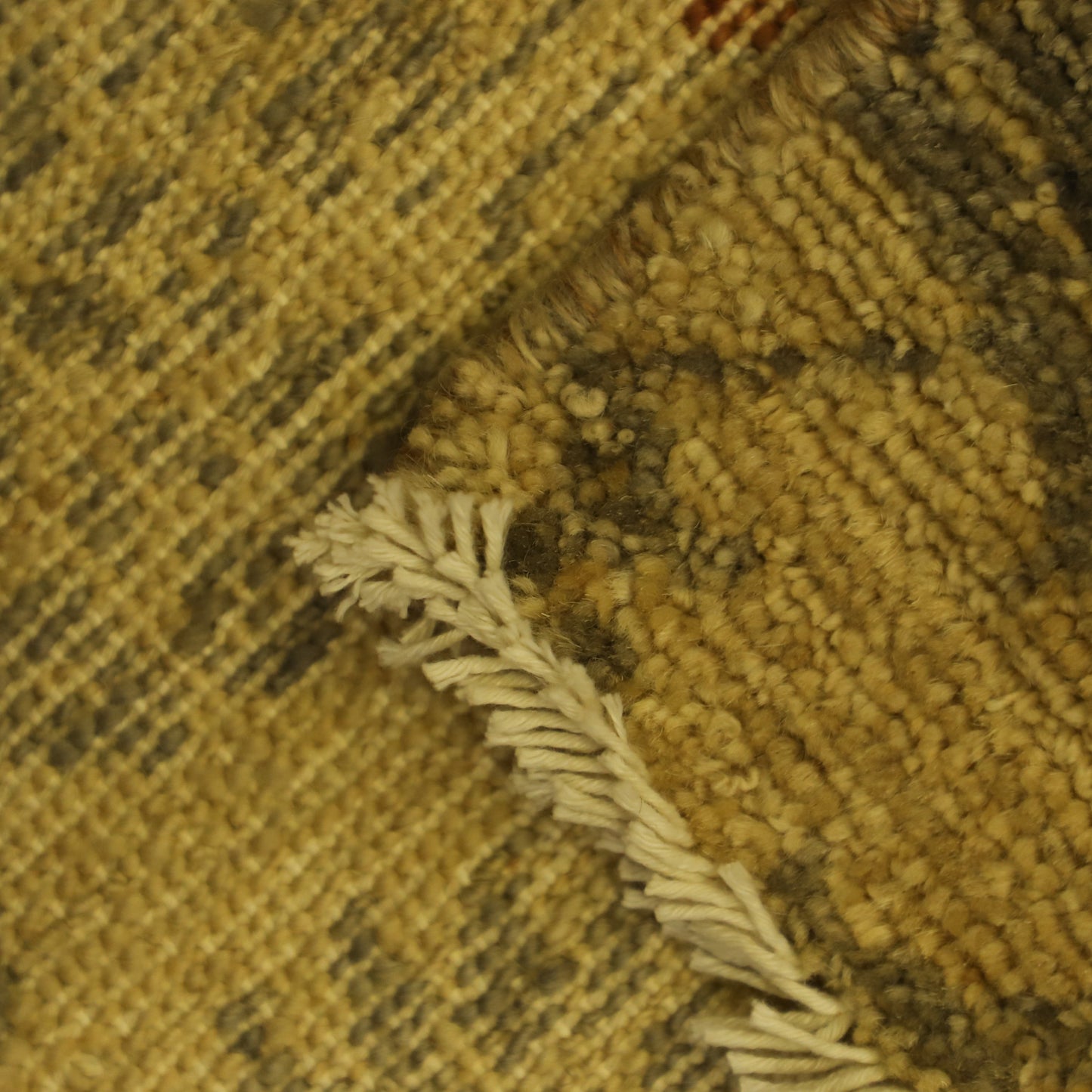 TRANSITIONAL-D57121