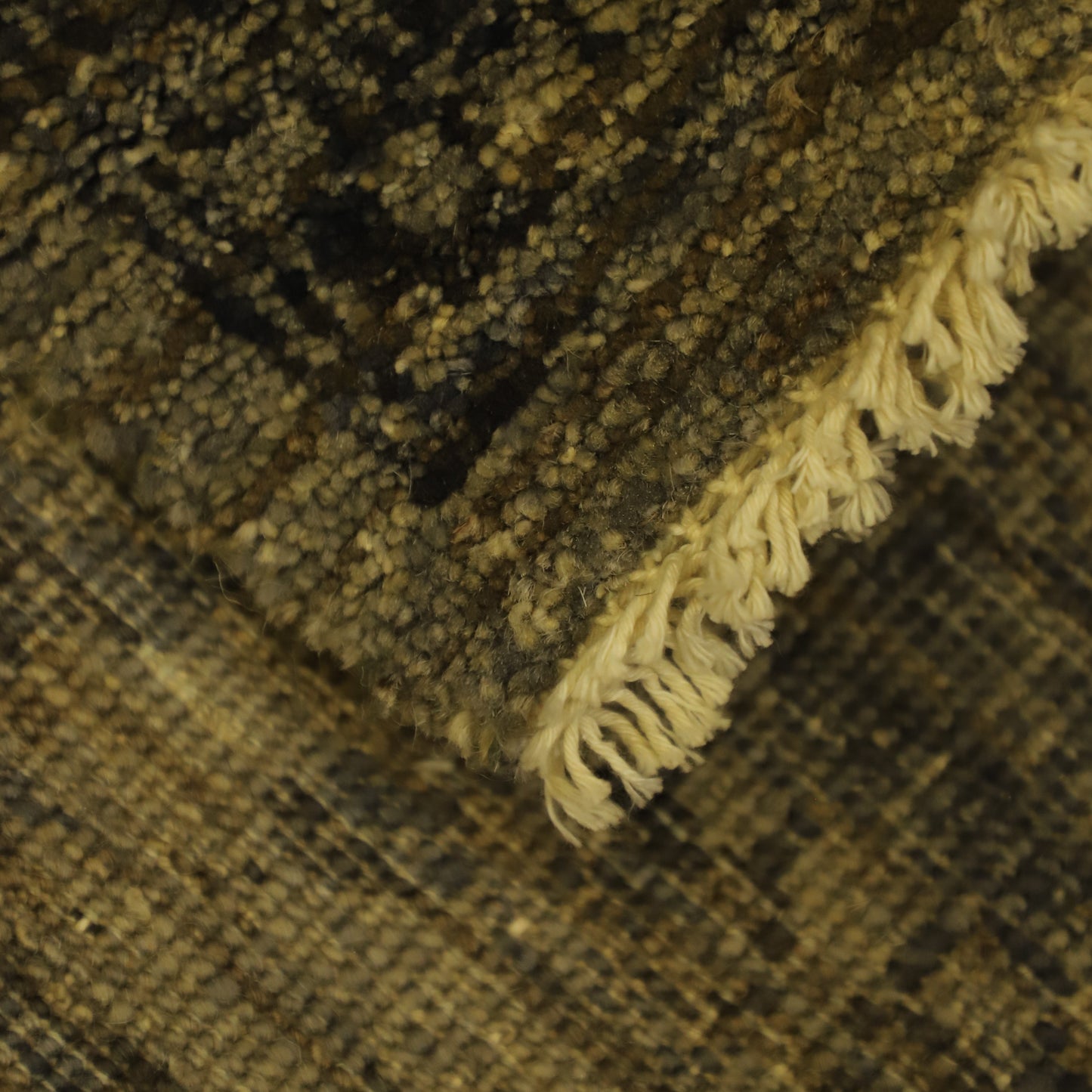 TRANSITIONAL-D57318