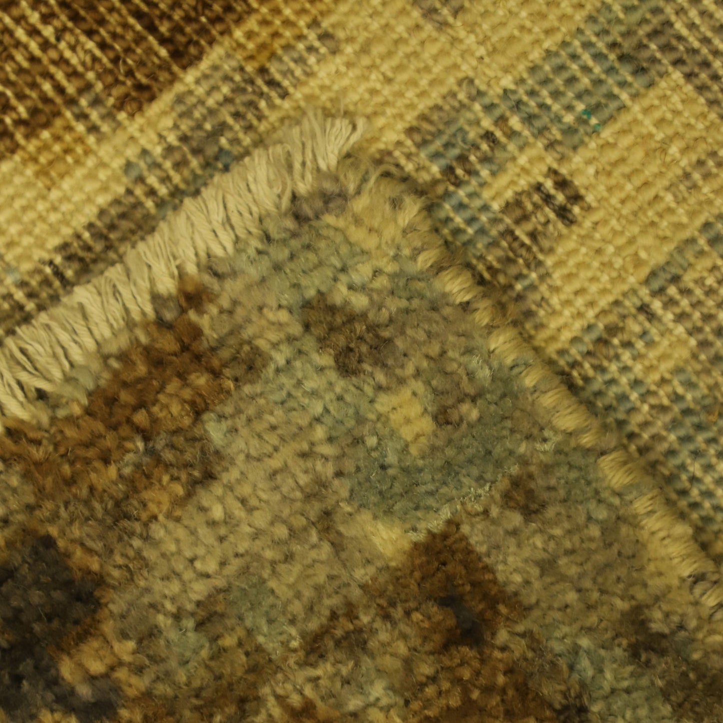 TRANSITIONAL-D56743