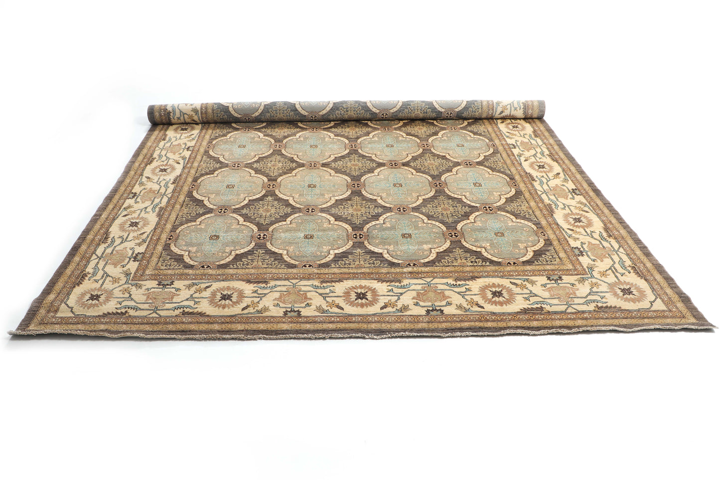 TRANSITIONAL-D52278