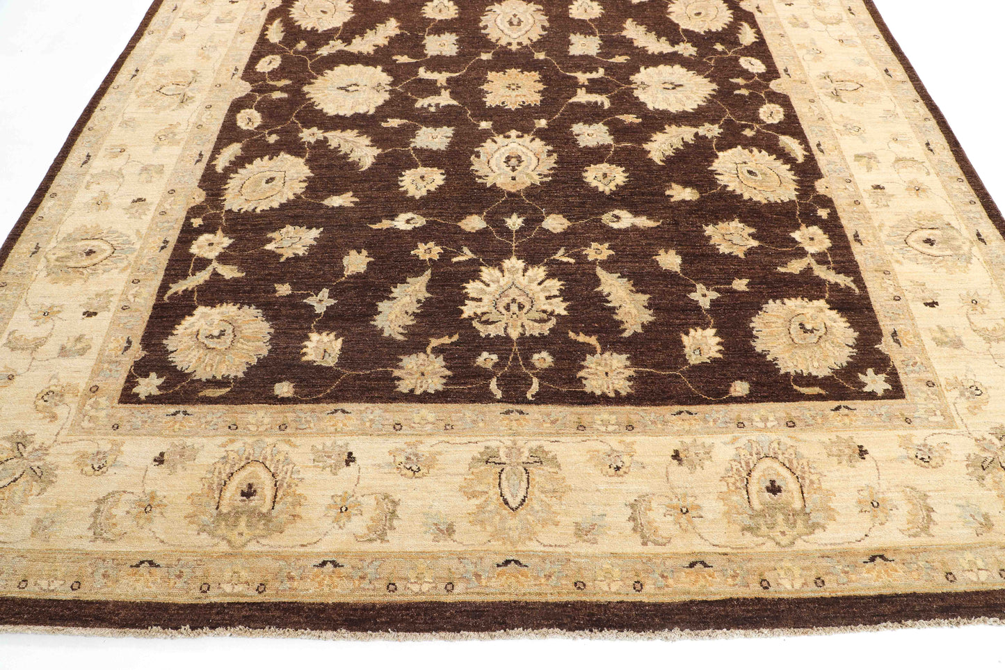 TRANSITIONAL-D47098
