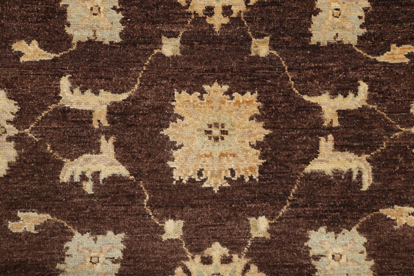 TRANSITIONAL-D47098