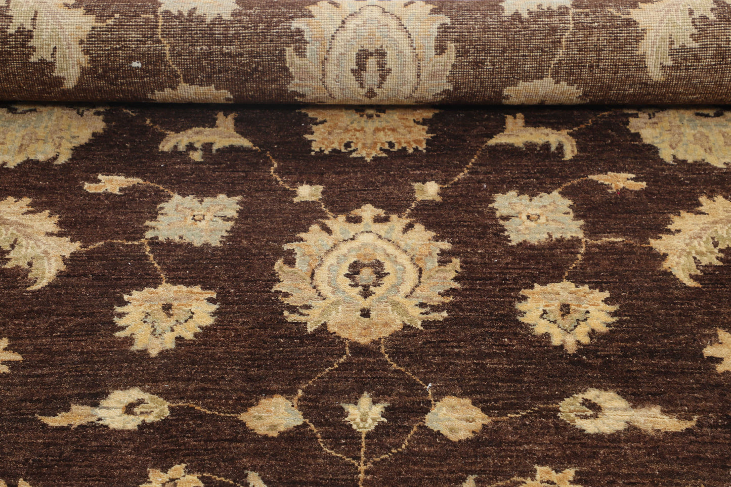 TRANSITIONAL-D47098