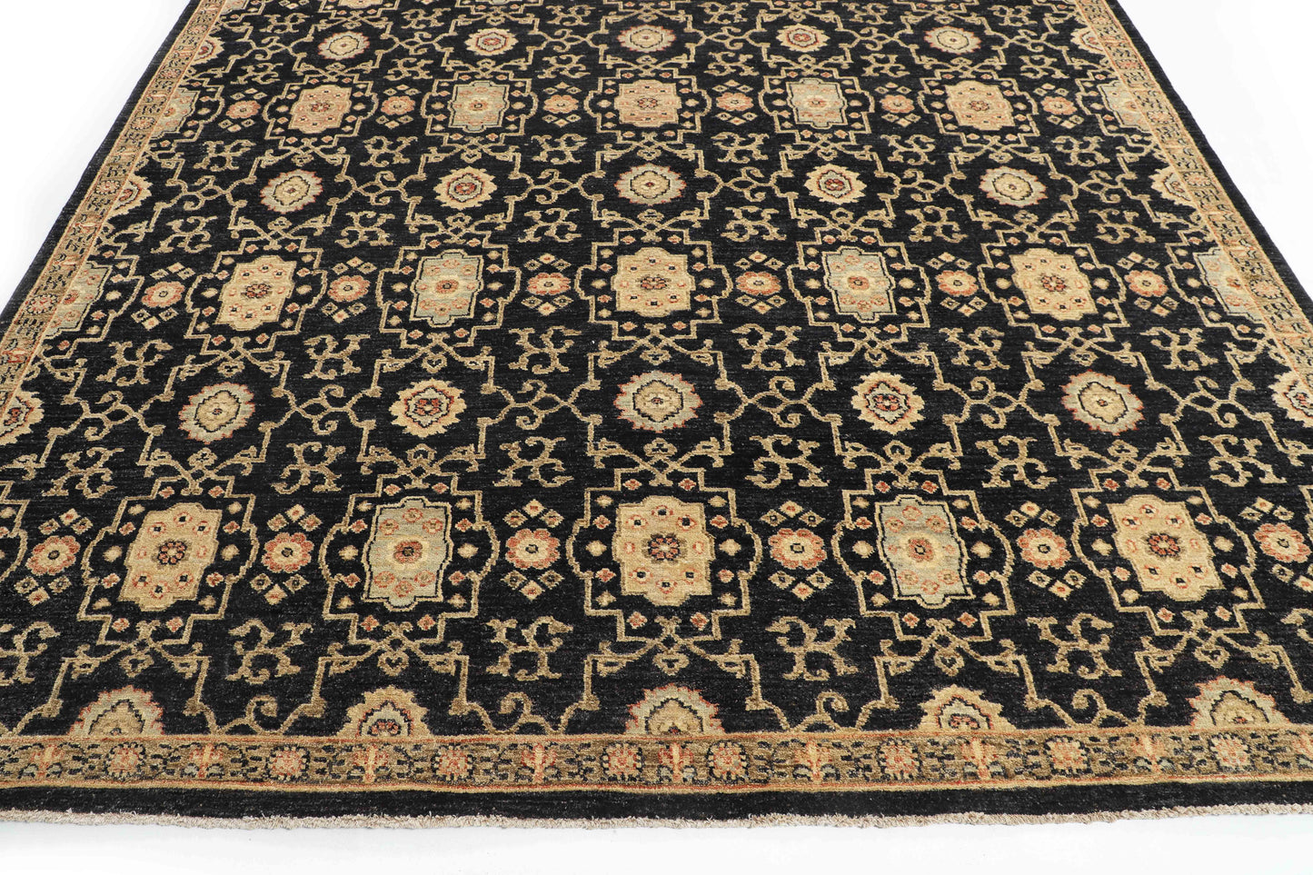 TRANSITIONAL-D47804