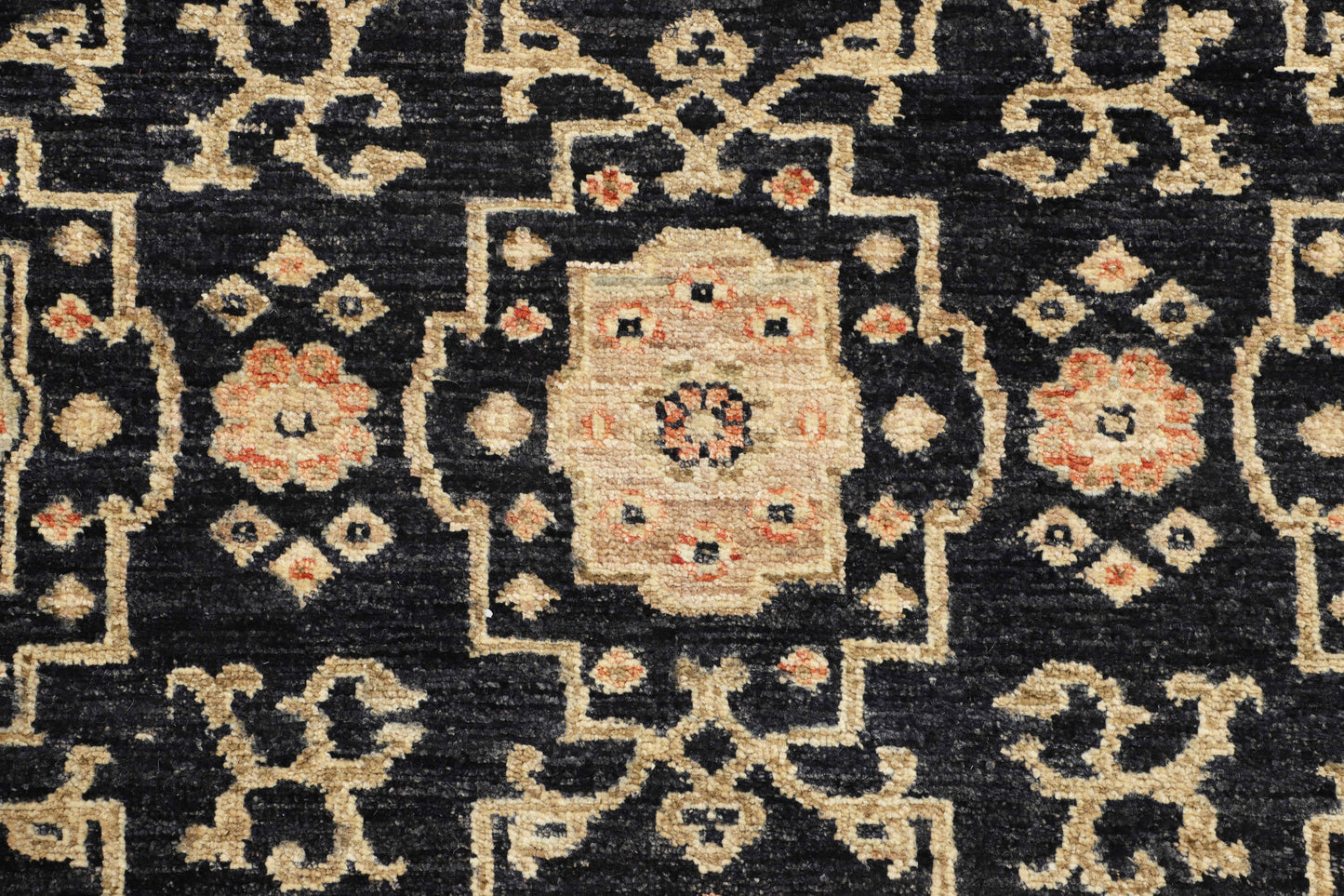 TRANSITIONAL-D47804