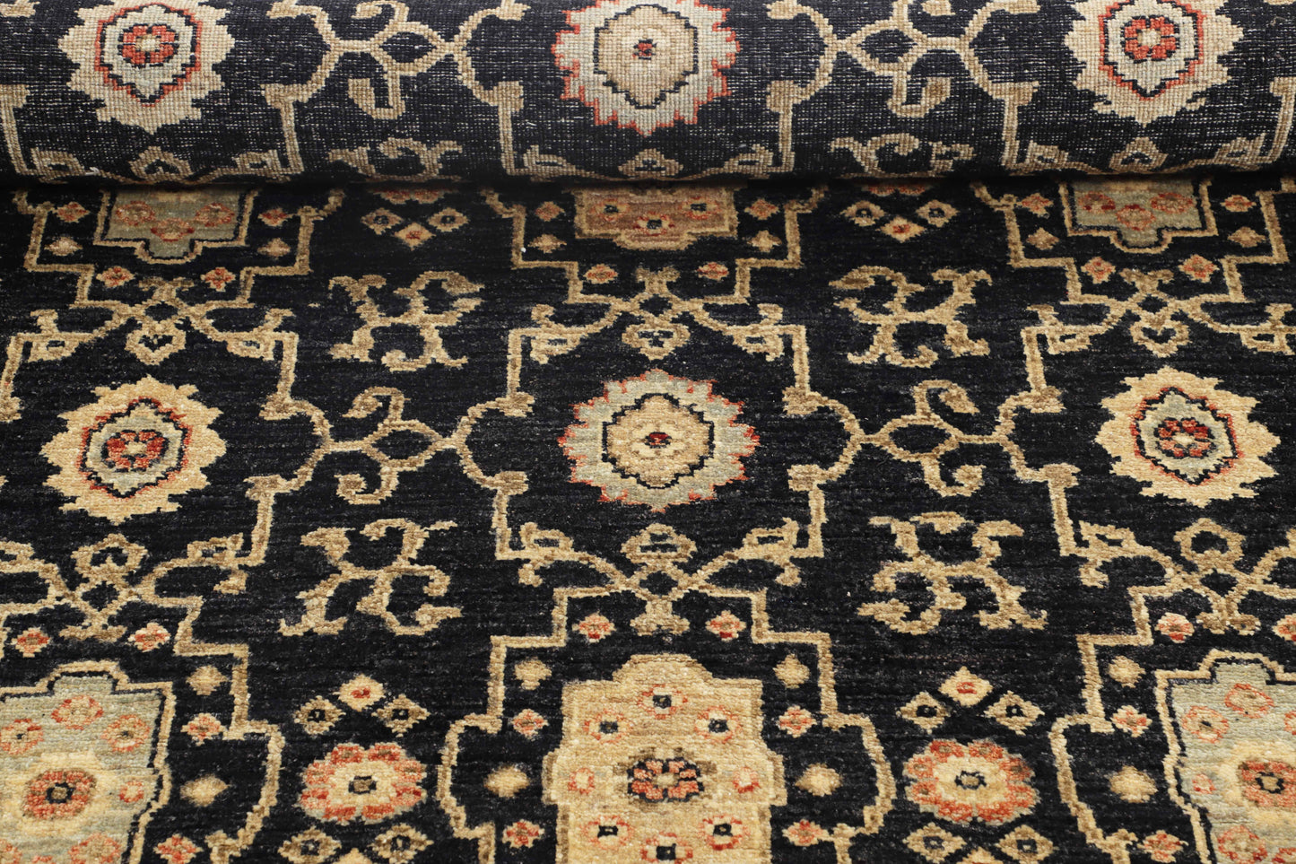 TRANSITIONAL-D47804