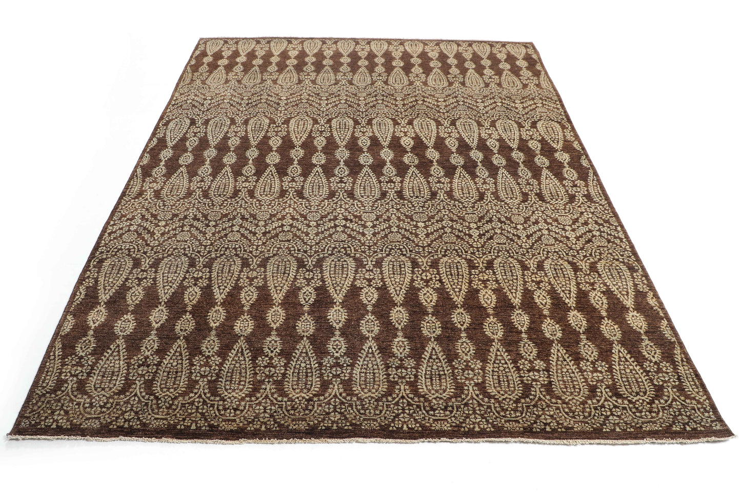 TRANSITIONAL-D48663