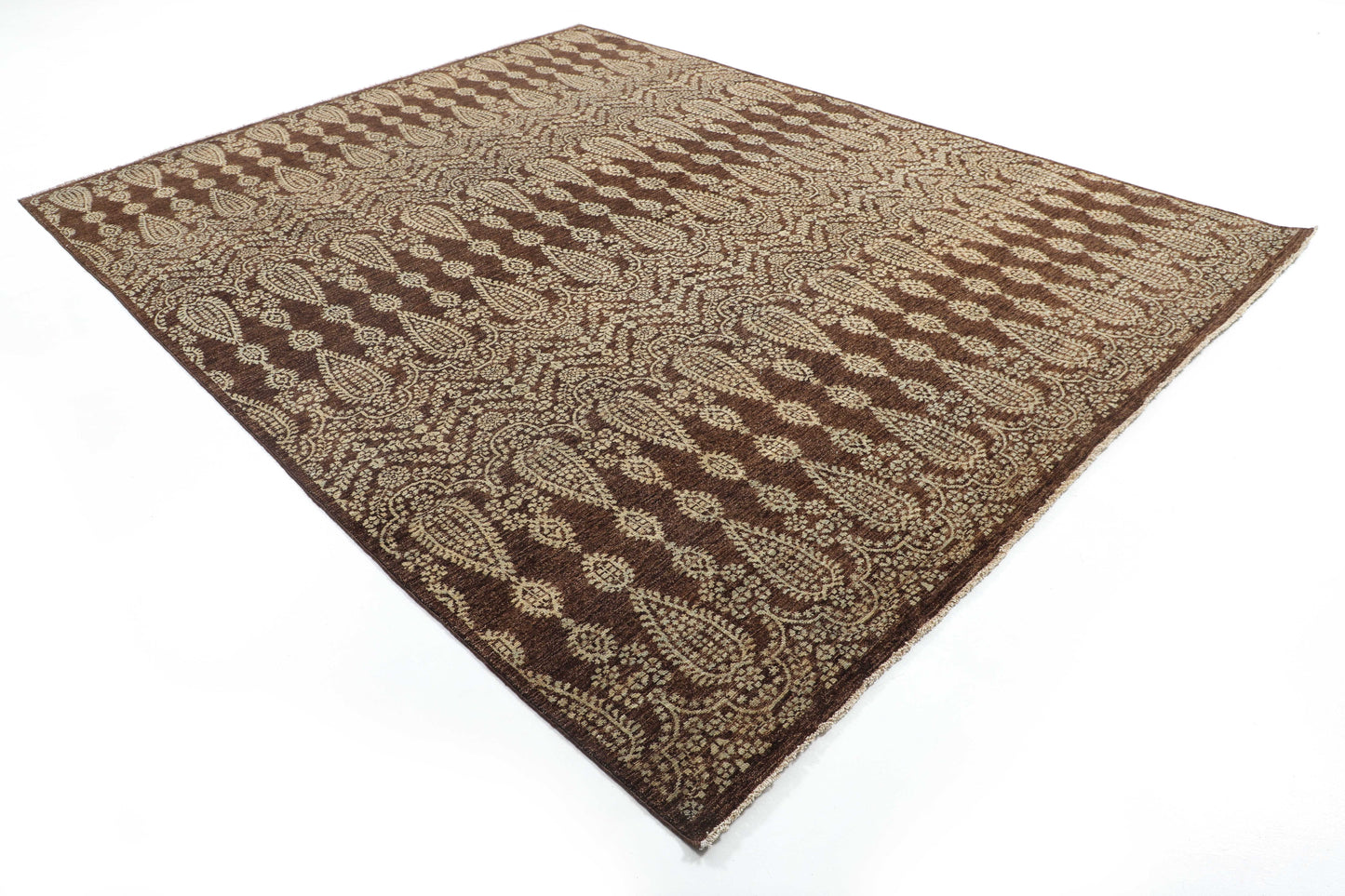 TRANSITIONAL-D48663