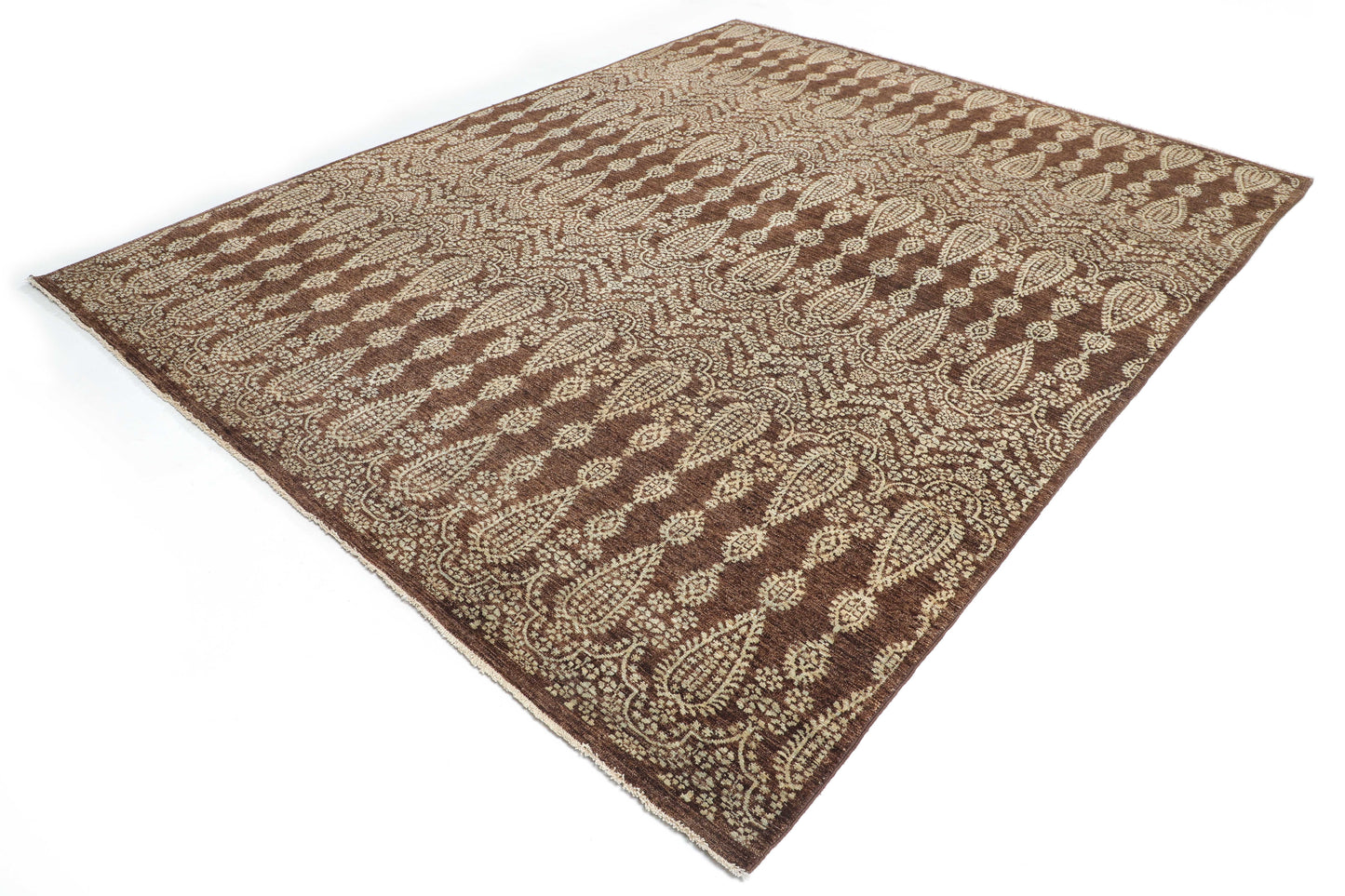 TRANSITIONAL-D48663