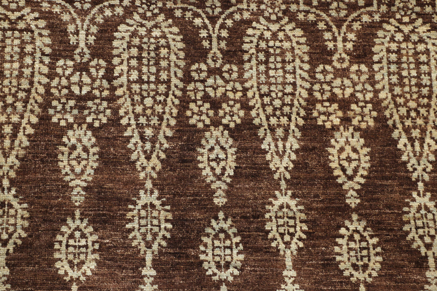 TRANSITIONAL-D48663