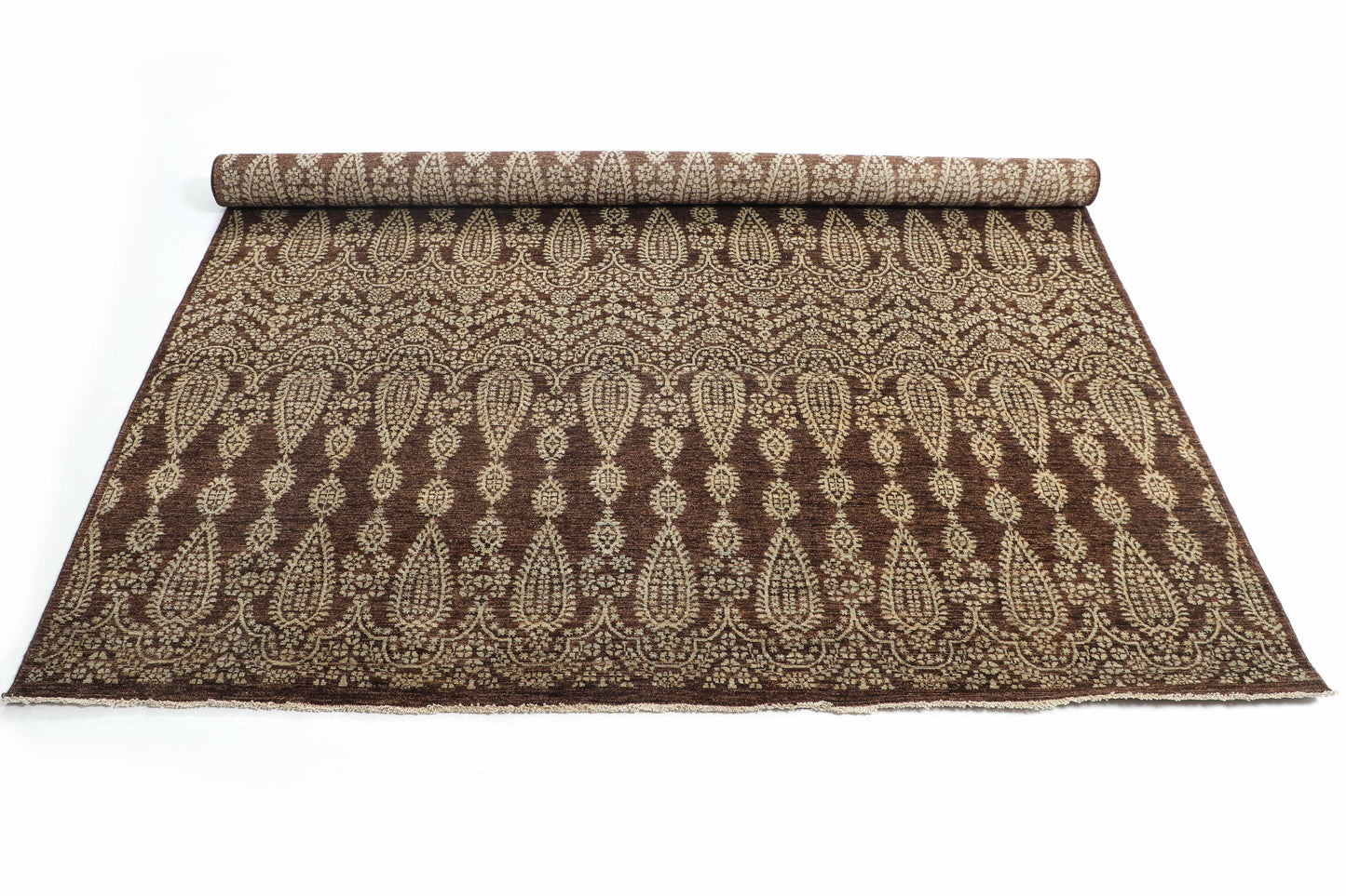 TRANSITIONAL-D48663