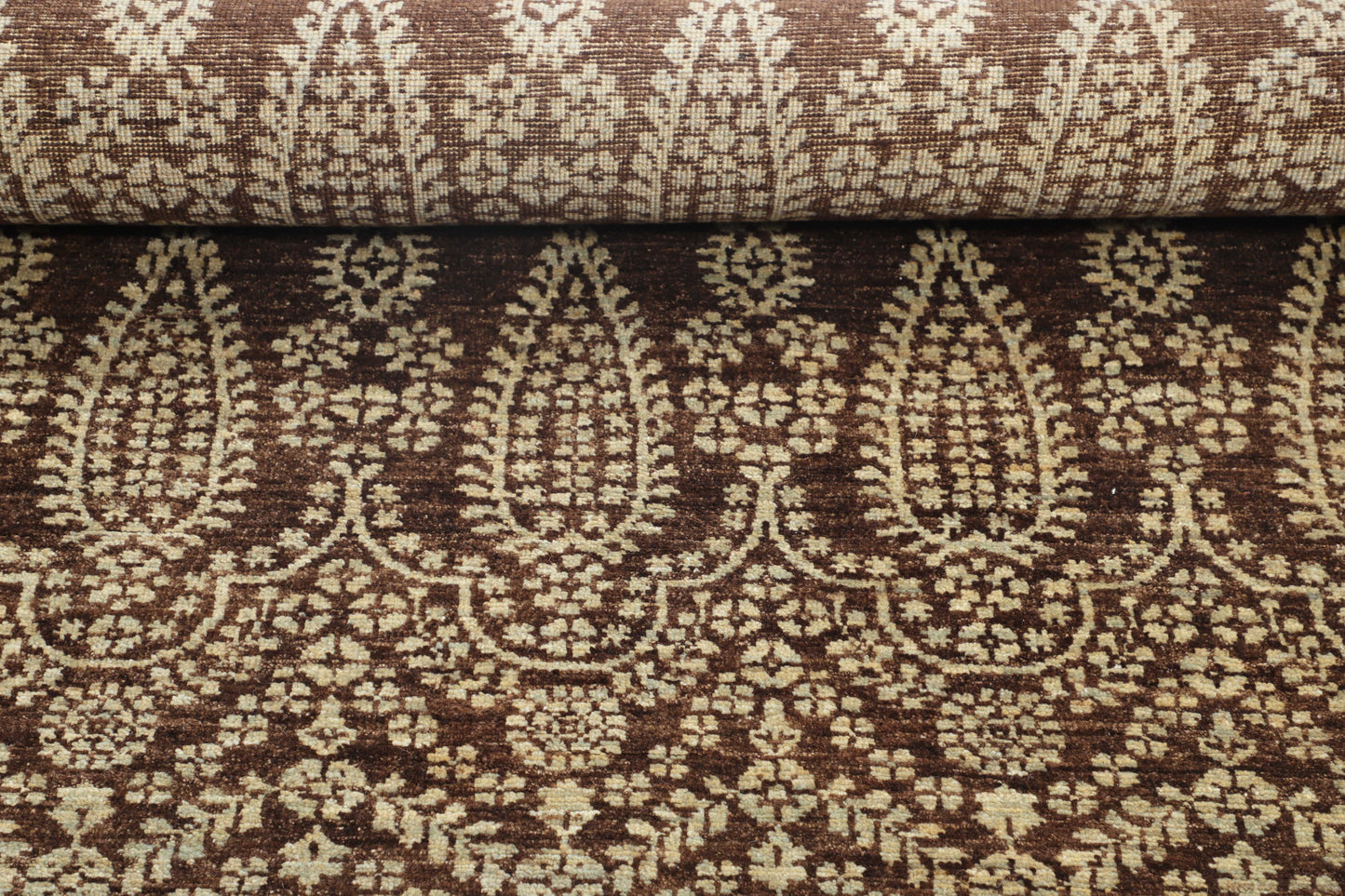 TRANSITIONAL-D48663