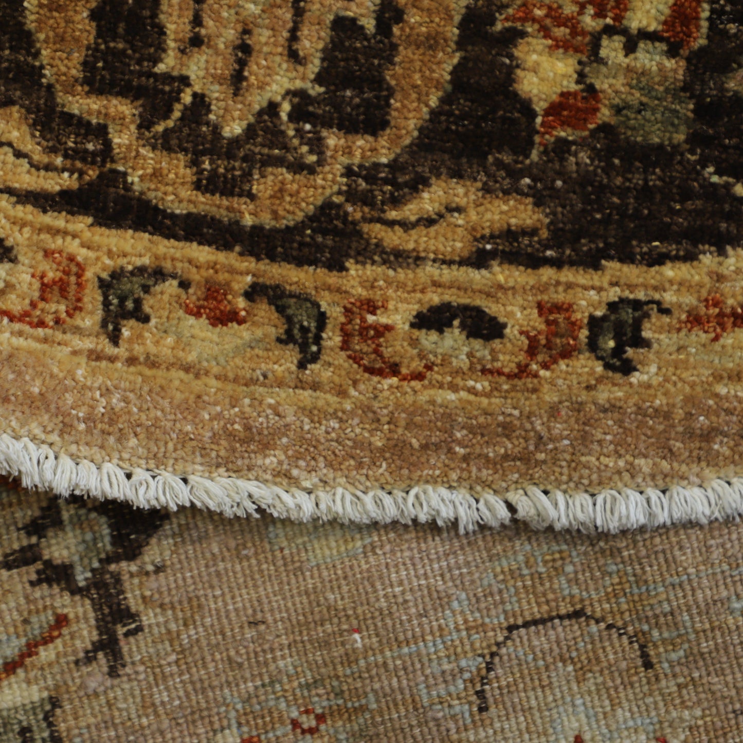 TRANSITIONAL-D41358