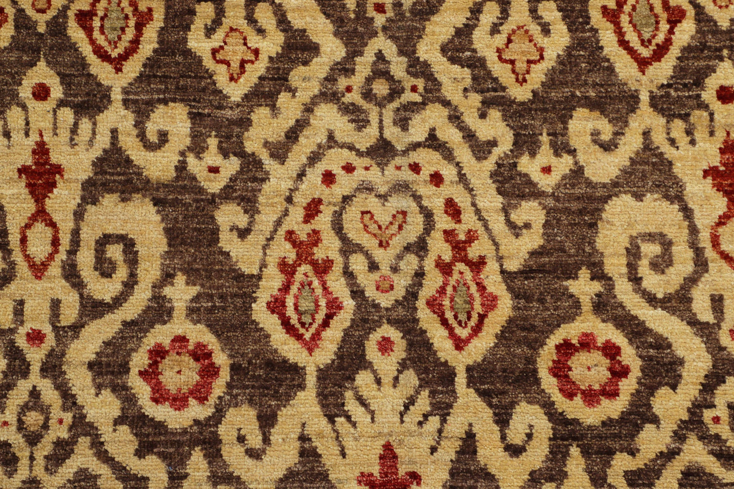 TRANSITIONAL-D48841