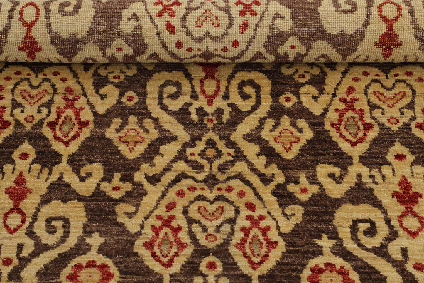 TRANSITIONAL-D48841