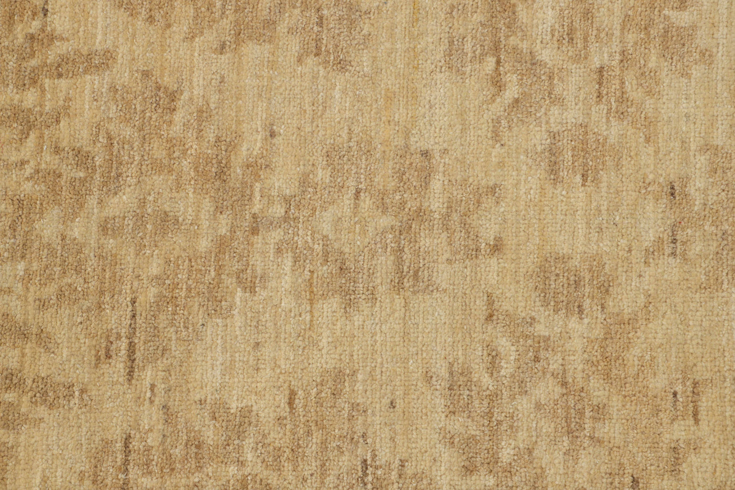 TRANSITIONAL-D48907