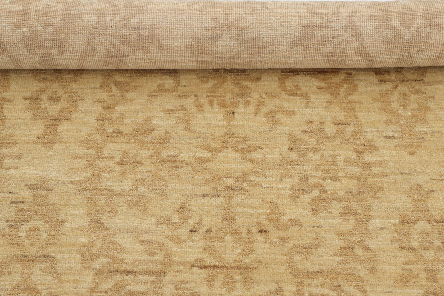 TRANSITIONAL-D48907