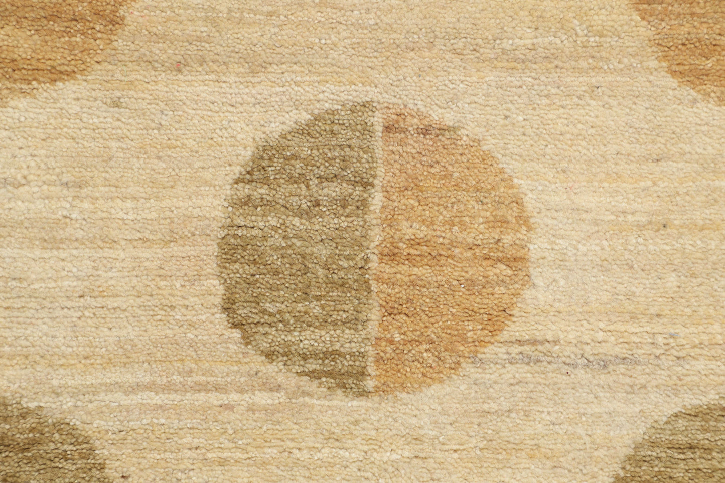 TRANSITIONAL-D15184