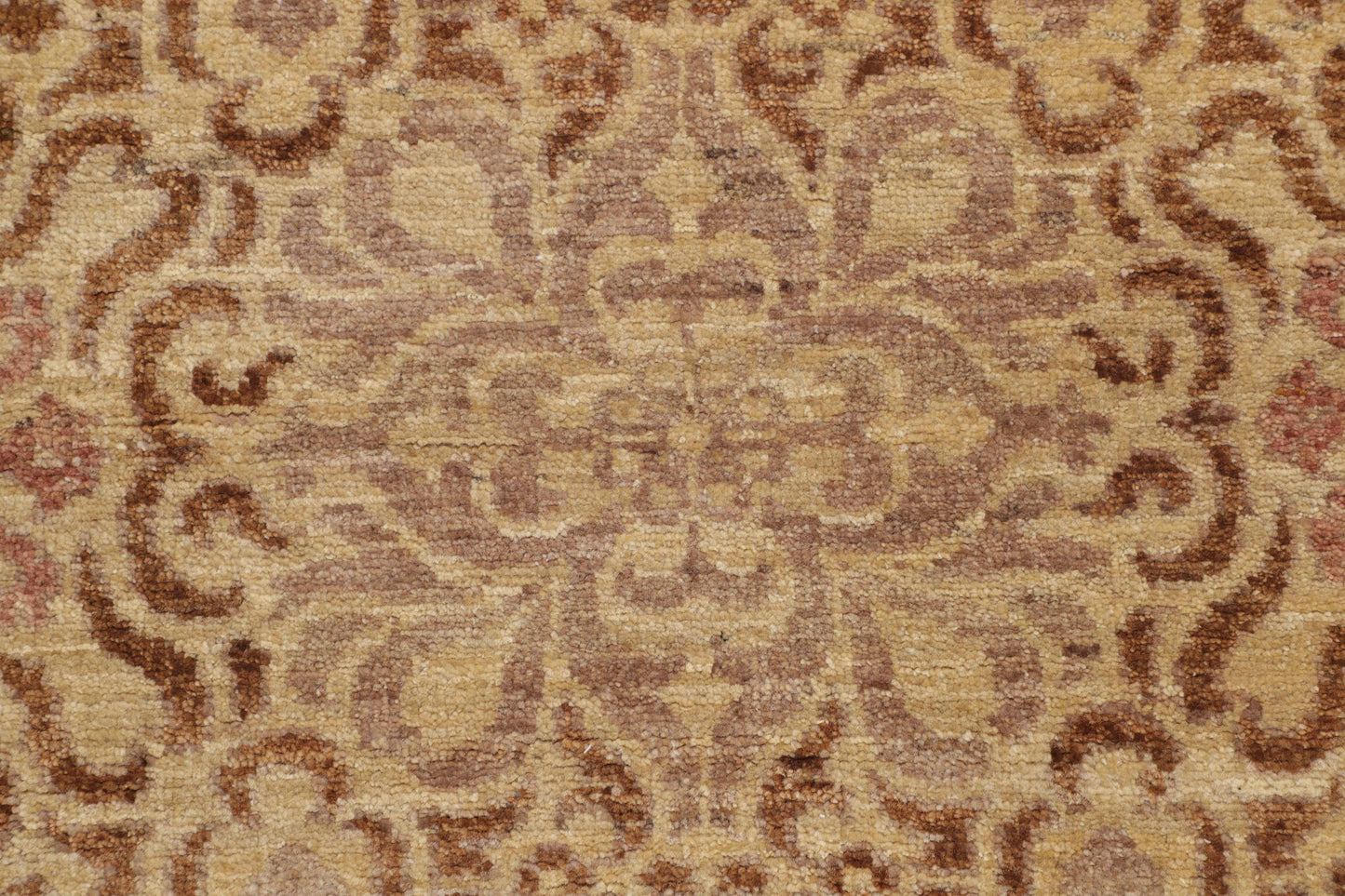 TRANSITIONAL-D52742