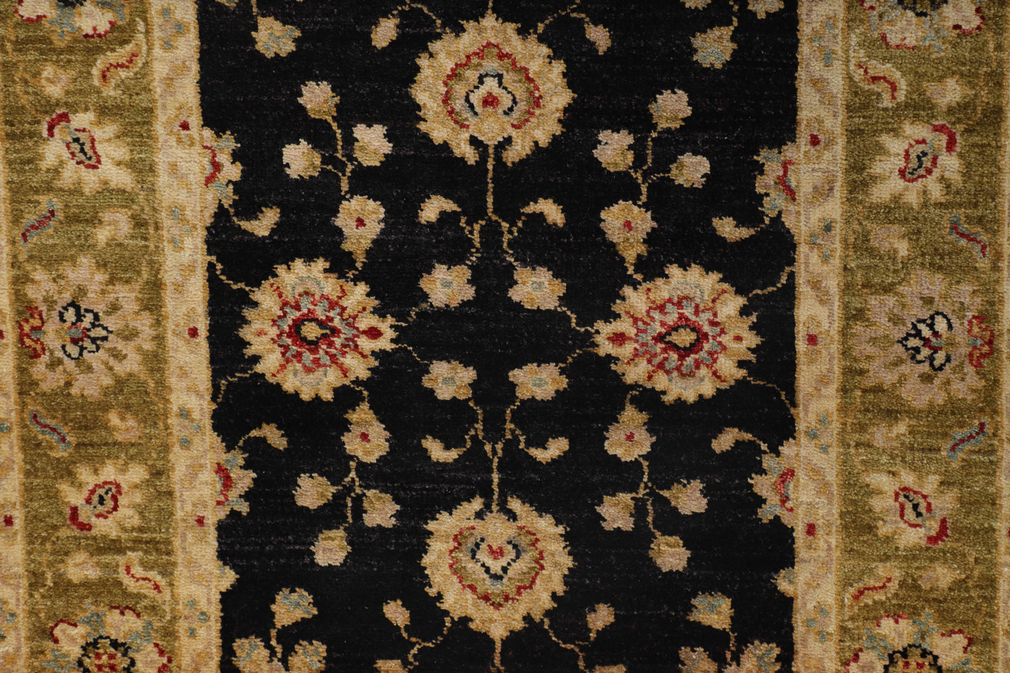 TRANISTIONAL-D40673
