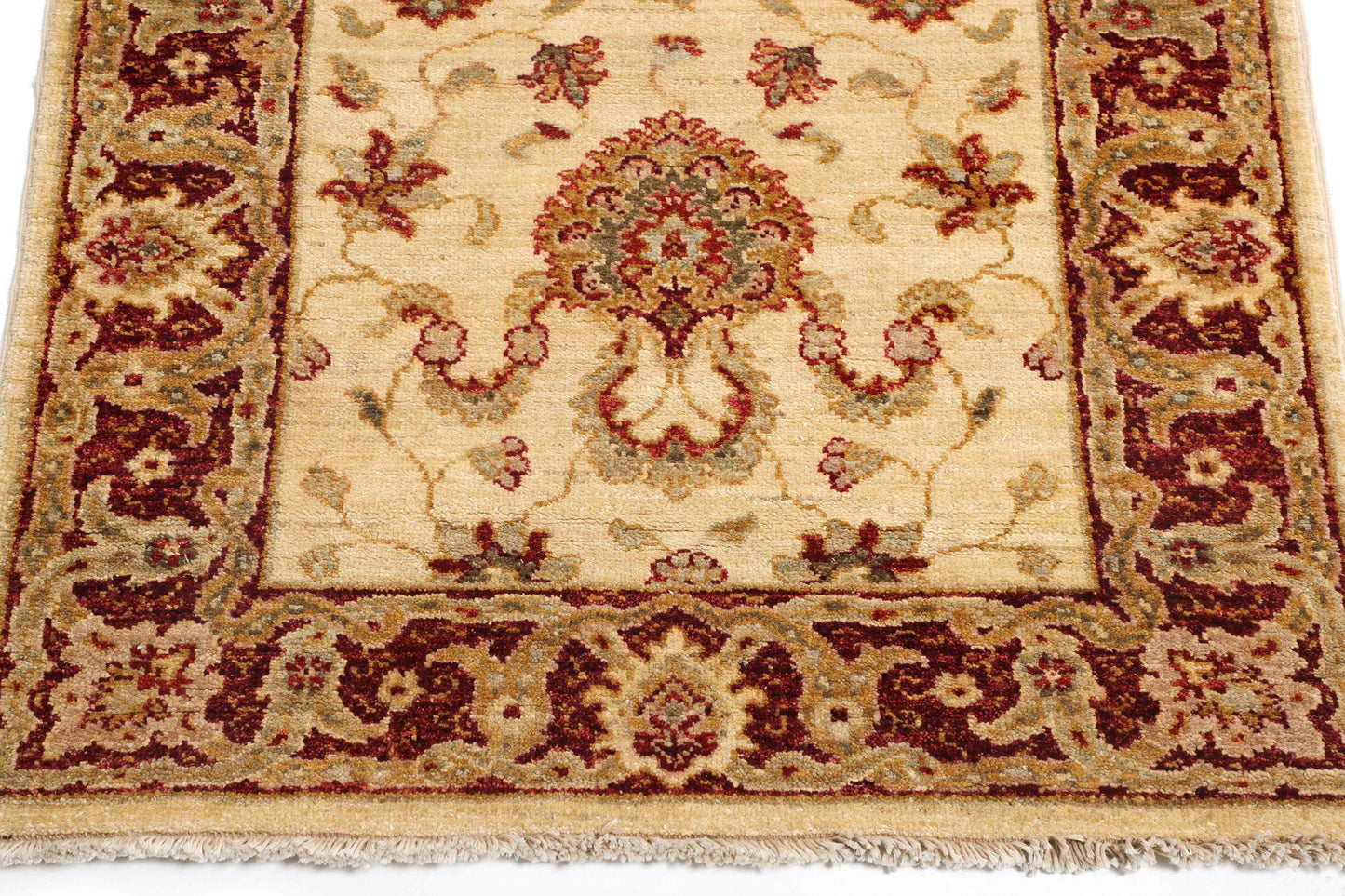 TRANSITIONAL-D40666