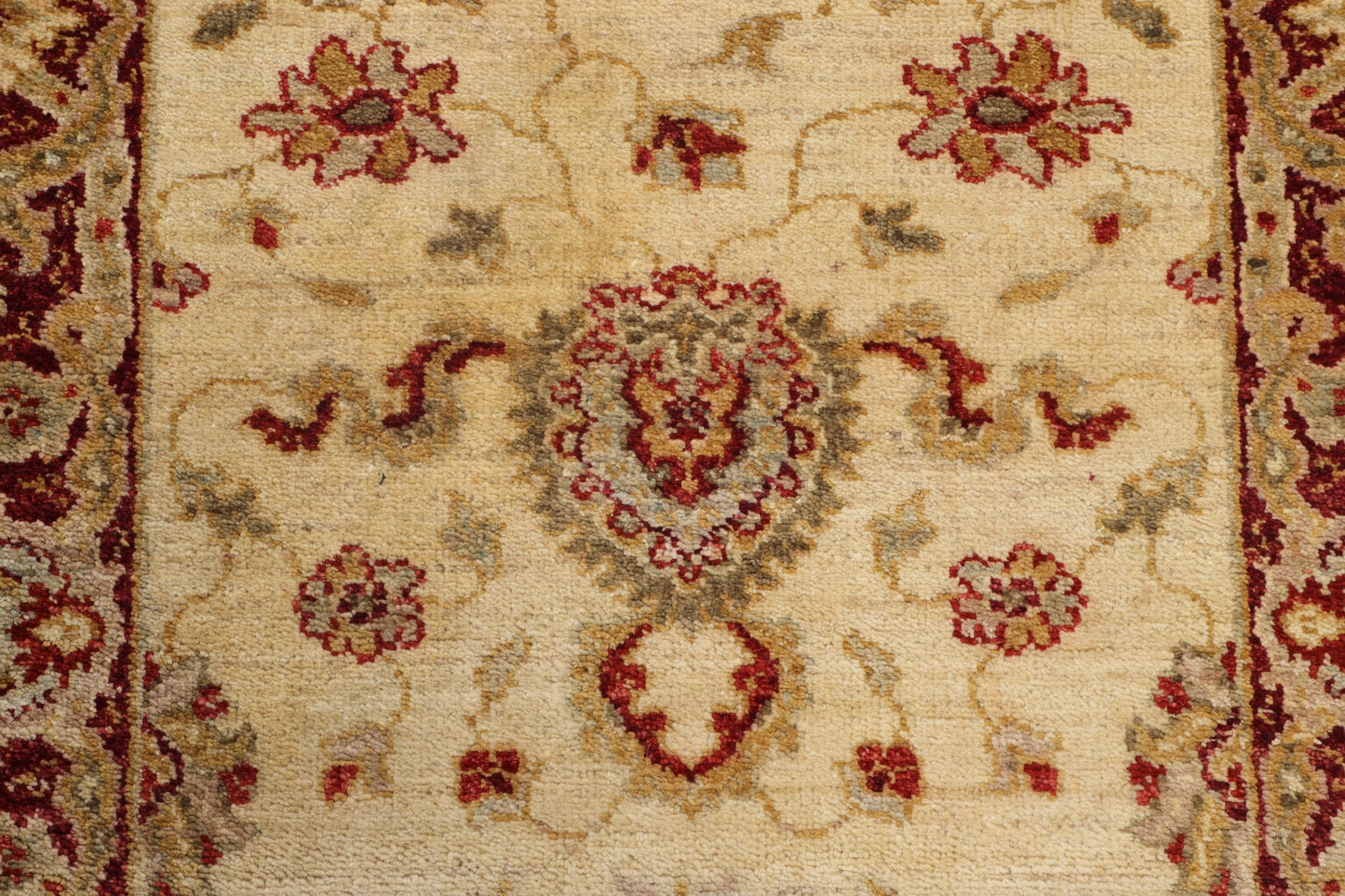 TRANSITIONAL-D40666